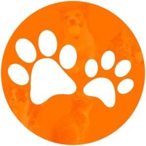 Animania productos para mascotas